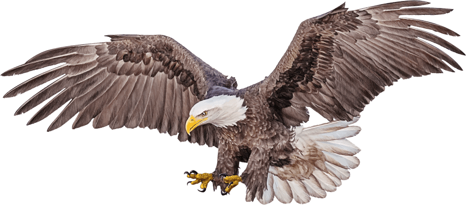 eagle